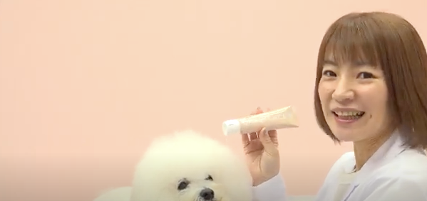 動画を読み込む: 